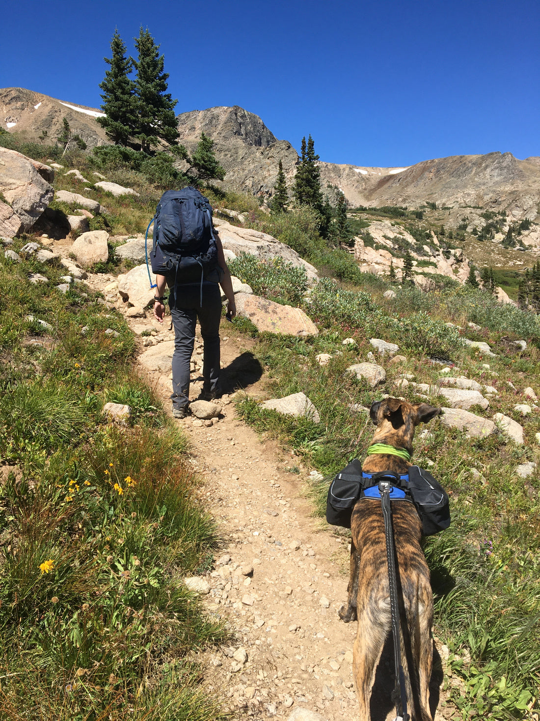 Tips for staying cool while backpacking in the Colorado heat this summer.