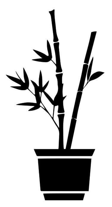 Why we choose Bamboo as our natural performance fiber of choice